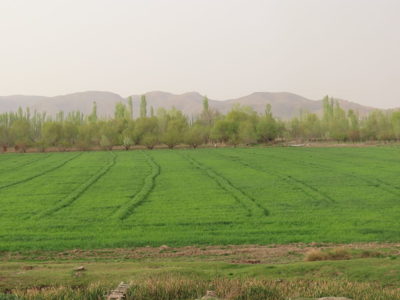 بازدید فرماندار و جمعی از مسئولان شهرستان از روستاهای بخش حاجیلار شهرستان چایپاره