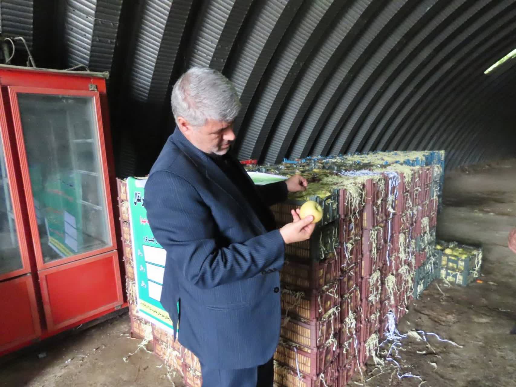 بازدید سرزده فرماندار چایپاره از میوه‌های تنظیم بازار شب عید شهرستان