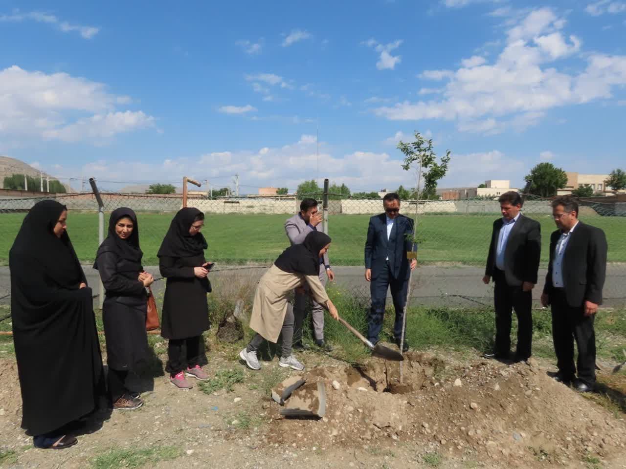 مراسم درختکاری به مناسبت جوانی جمعیت با تقویت شعار هویت مادری در شهرستان چایپاره