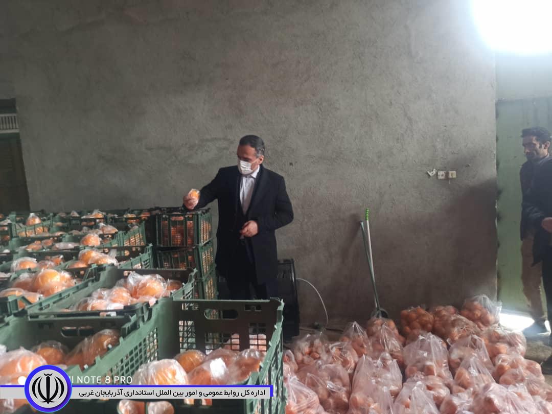 حضور شکورزاده فرماندار شهرستان در تعاون روستایی جهت نظارت بر انبار توزیع میوه شب عید