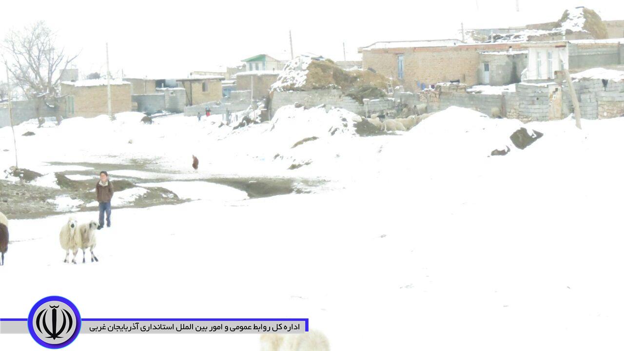 بازدید فرماندار ازروستای علی آباد بخش مرکزی شهرستان چایپاره