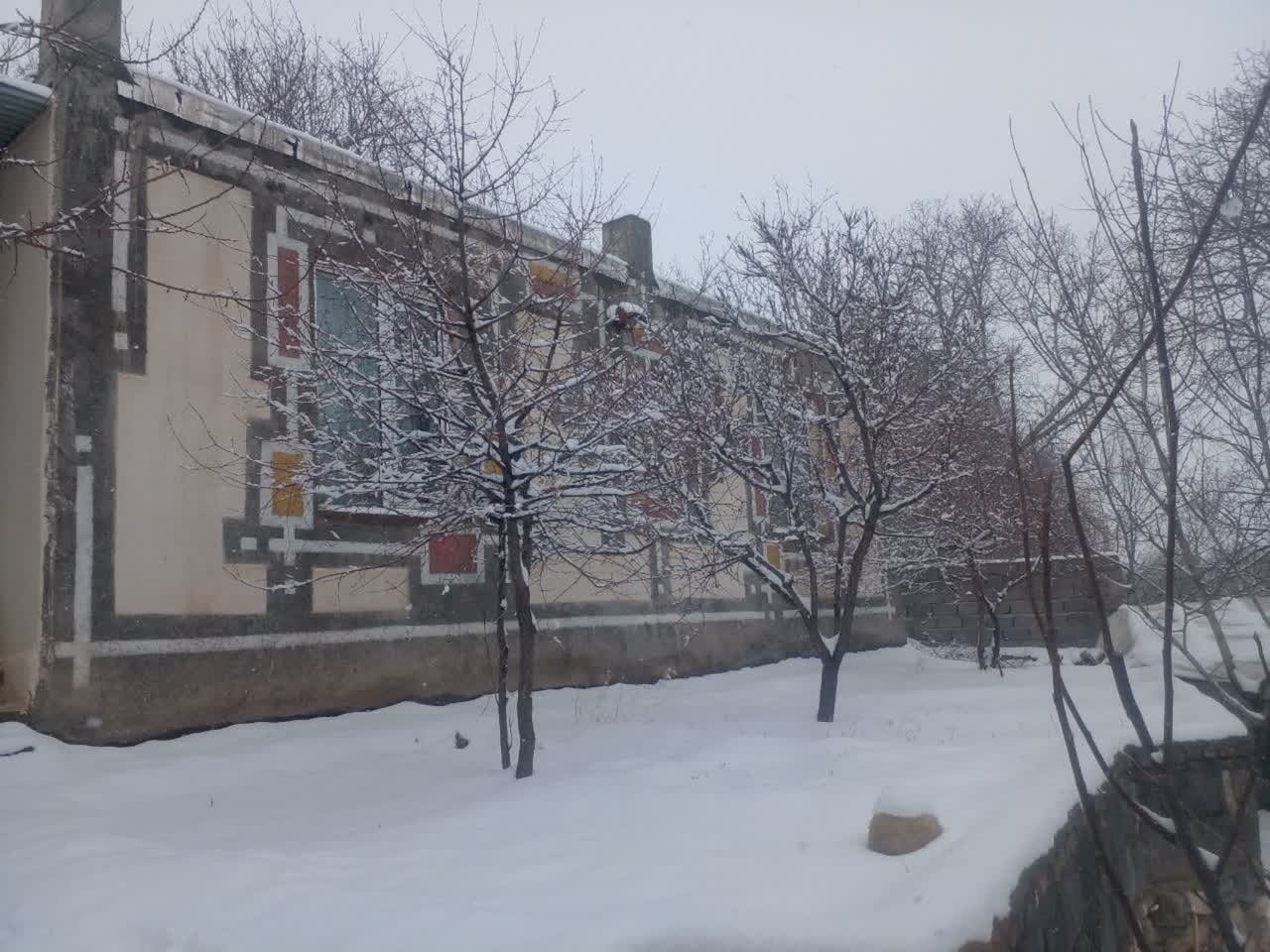 سفیدپوش شدن چایپاره با برف زمستانی