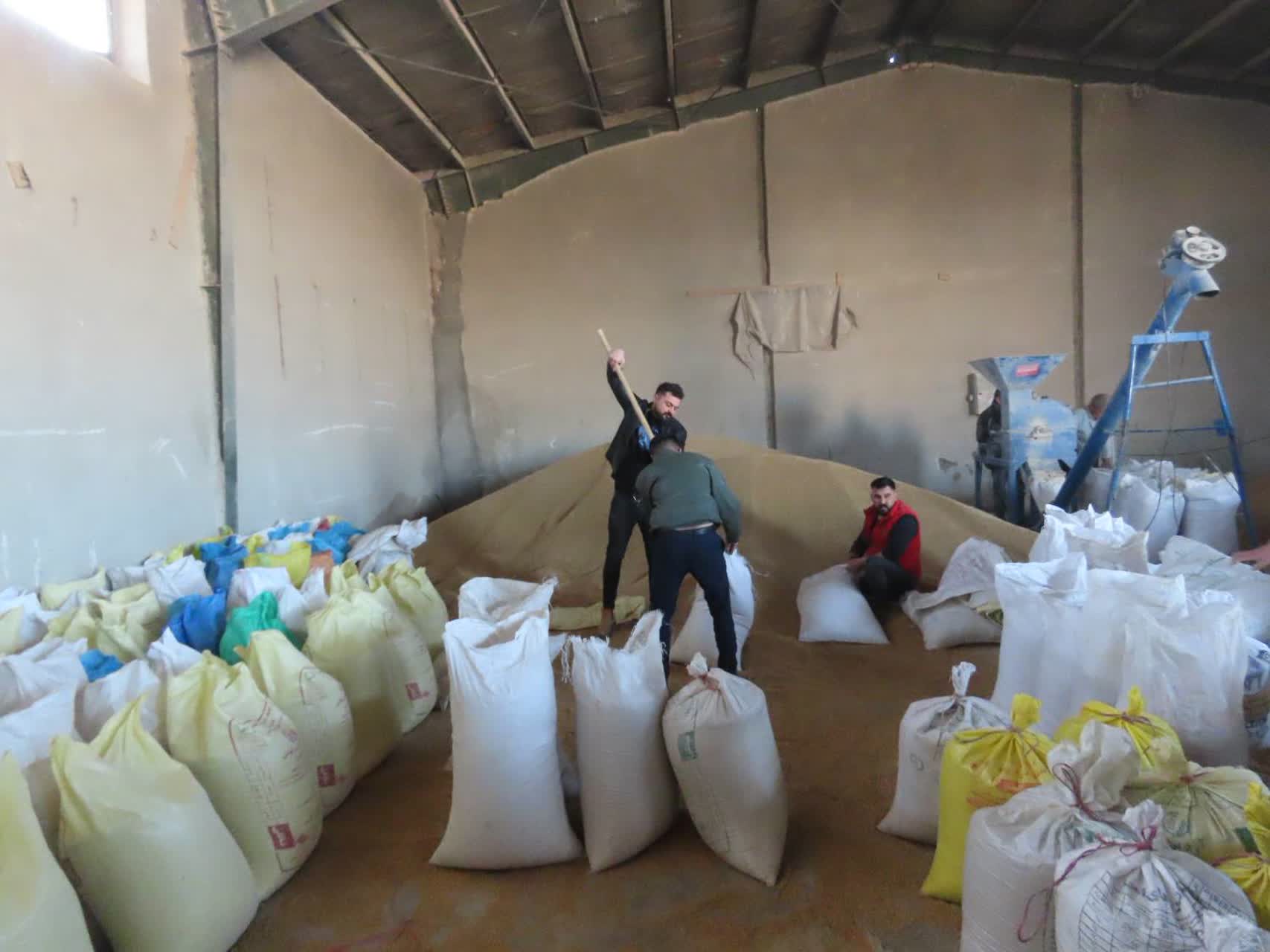 بازدید سرزده فرماندار چایپاره از روند توزیع نهاده‌های دامی