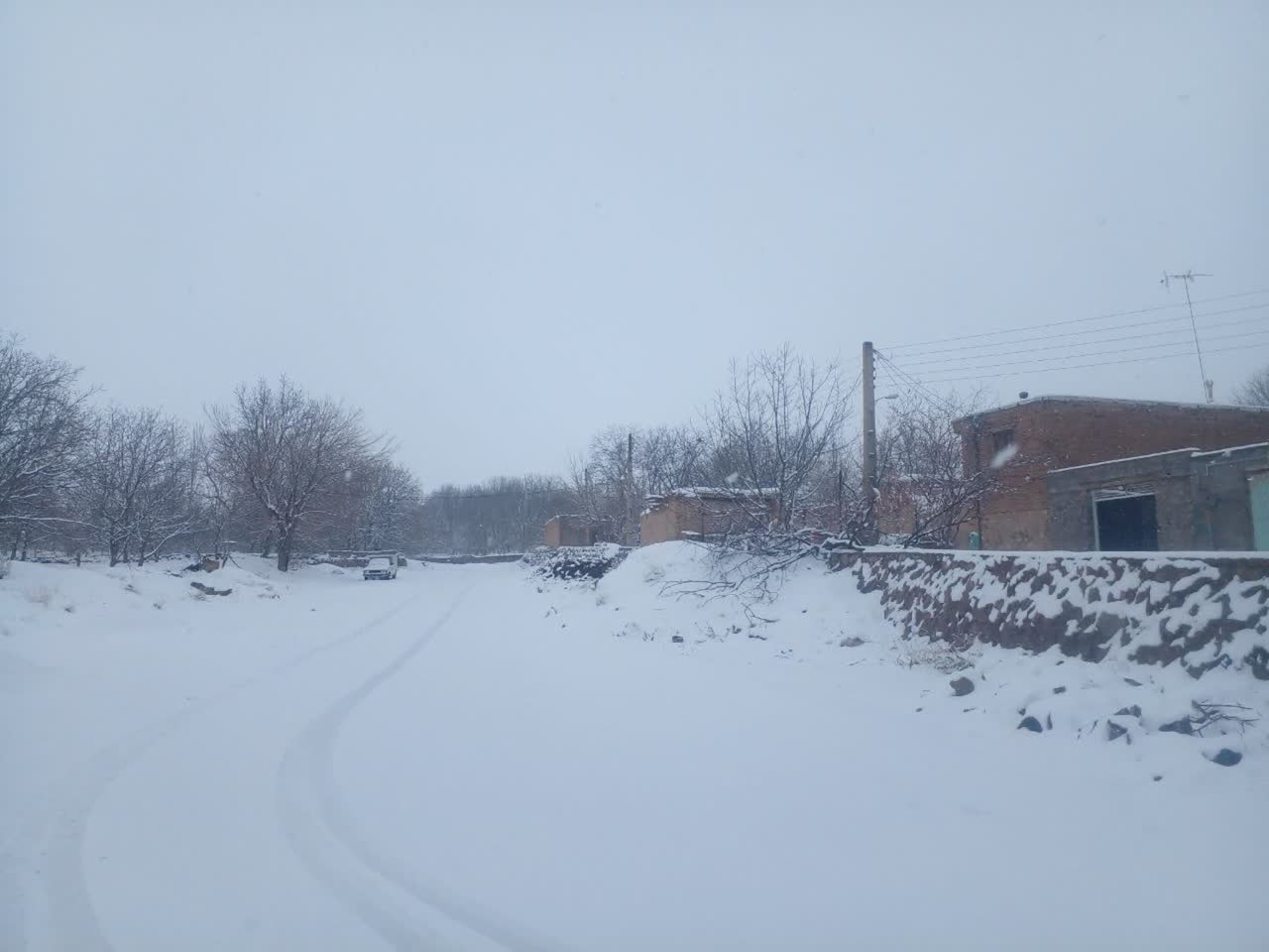 سفیدپوش شدن چایپاره با برف زمستانی