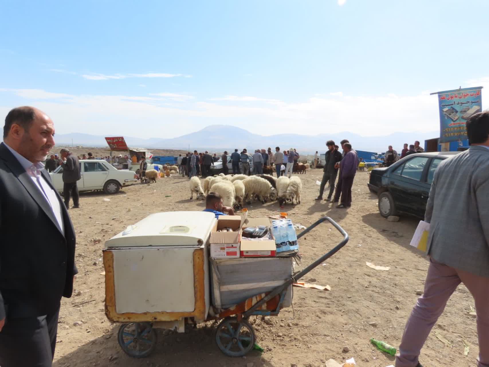 با پیگیری های مجدانه رضا اقلیمیان فرماندار چایپاره و نماینده مردم شهرستان در مجلس شورای اسلامی و حضور مدیر کل دامپزشکی استان در شهرستان، مشکل اساسی دامداران و چوبداران در اخذ گواهی حمل دامپزشکی و انتق