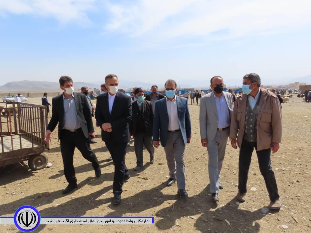 بازدید شکورزاده فرماندار شهرستان از میدان دواب