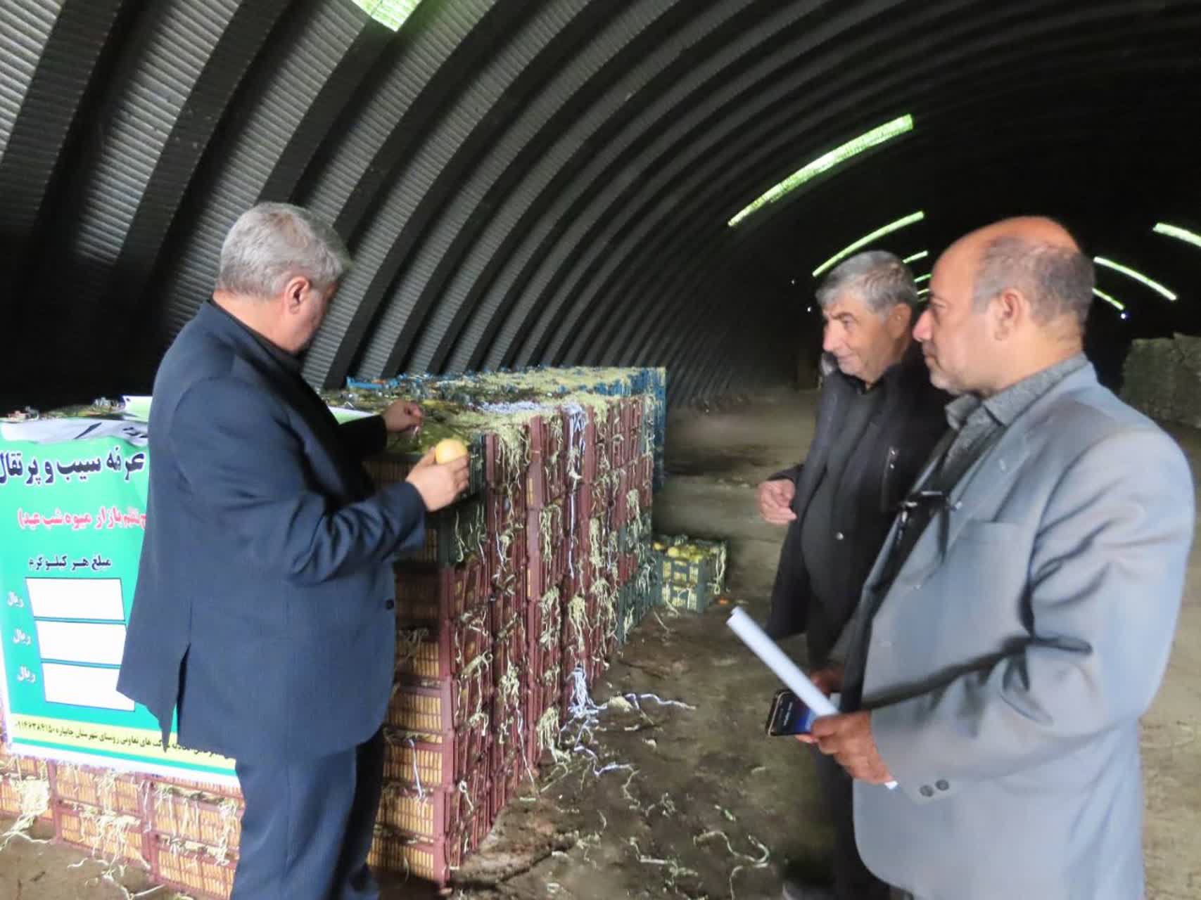بازدید سرزده فرماندار چایپاره از میوه‌های تنظیم بازار شب عید شهرستان