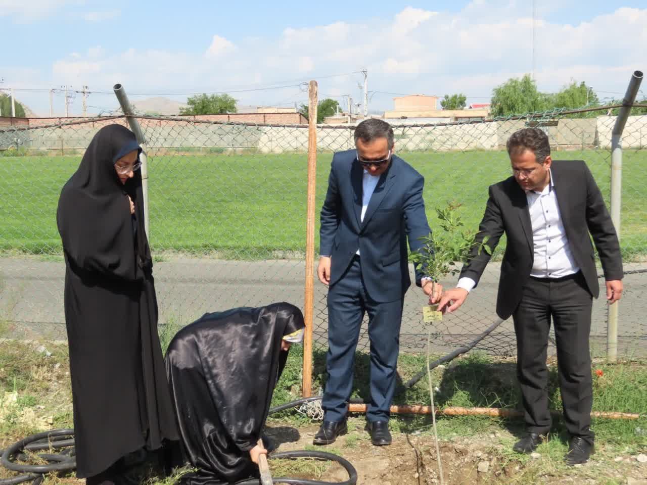 مراسم درختکاری به مناسبت جوانی جمعیت با تقویت شعار هویت مادری در شهرستان چایپاره