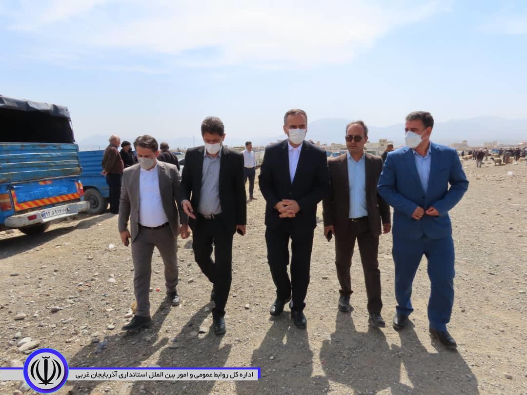 بازدید شکورزاده فرماندار شهرستان از میدان دواب