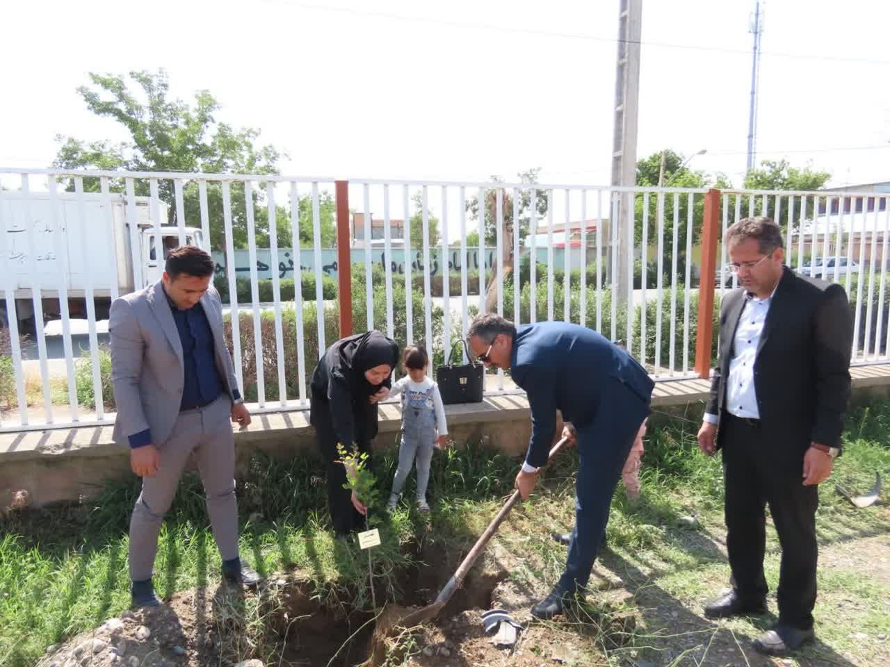 مراسم درختکاری به مناسبت جوانی جمعیت با تقویت شعار هویت مادری در شهرستان چایپاره