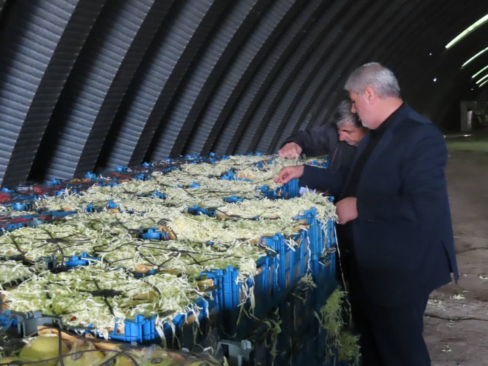 بازدید سرزده فرماندار چایپاره از میوه‌های تنظیم بازار شب عید شهرستان