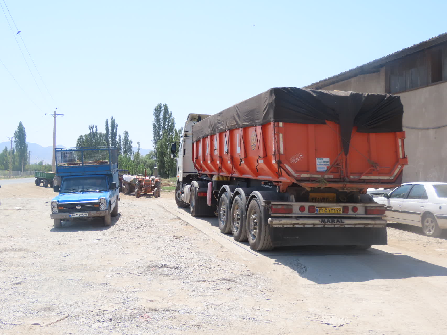 بازدید میدانی فرماندار از مرکز خرید گندم در شهرستان چایپاره