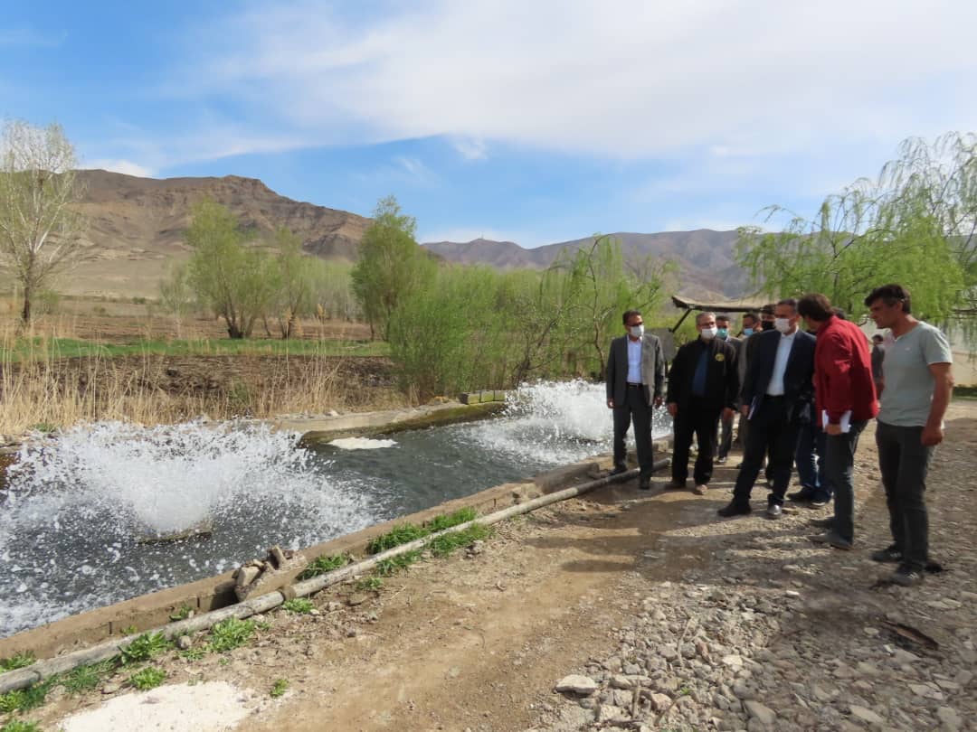 فرماندار شهرستان چایپاره به همراه بخشدار و جمعی از روساء و مدیران ادارات و نهادها و کارشناسان ذیربط از مزرعه پرورش ماهی آقای سید سجاد موسوی بازدید نمودند .