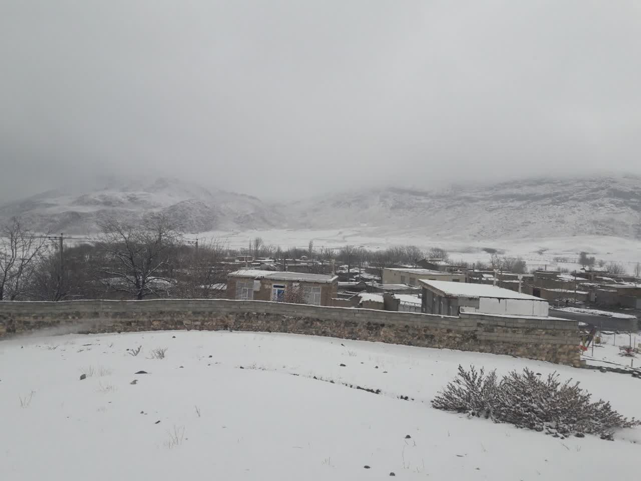 سفیدپوش شدن چایپاره با برف زمستانی