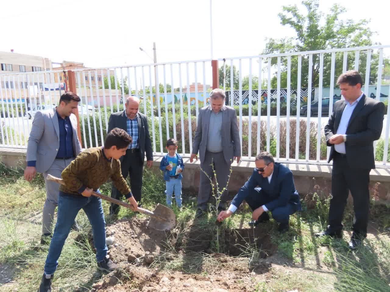 مراسم درختکاری به مناسبت جوانی جمعیت با تقویت شعار هویت مادری در شهرستان چایپاره