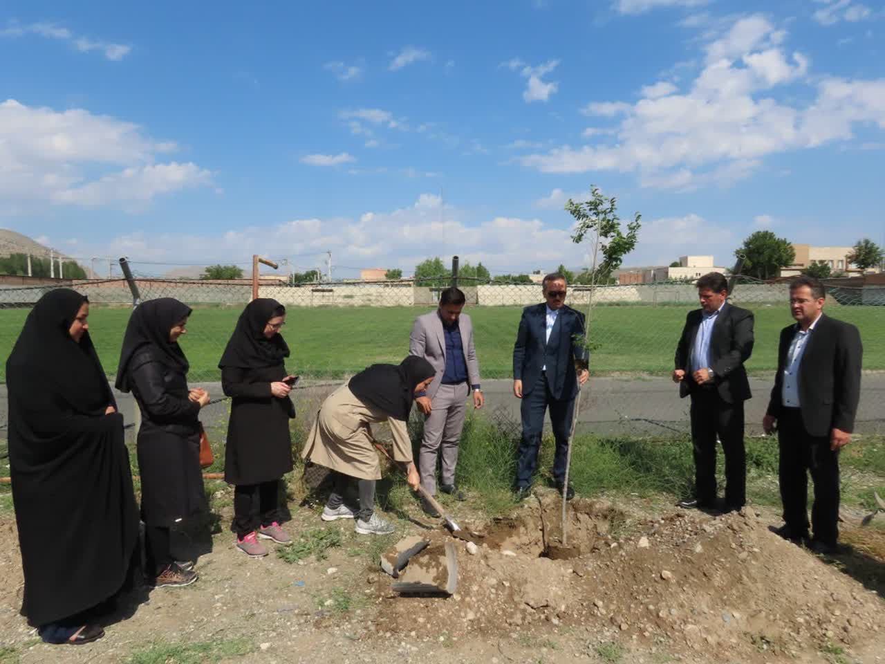 مراسم درختکاری به مناسبت جوانی جمعیت با تقویت شعار هویت مادری در شهرستان چایپاره
