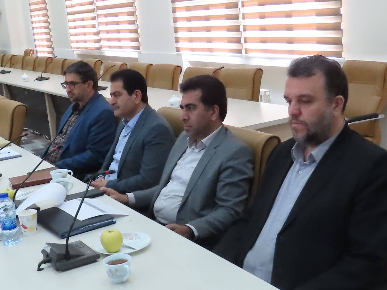 دیدار مدیر کل بنیاد مسکن انقلاب اسلامی استان با فرماندار چایپاره