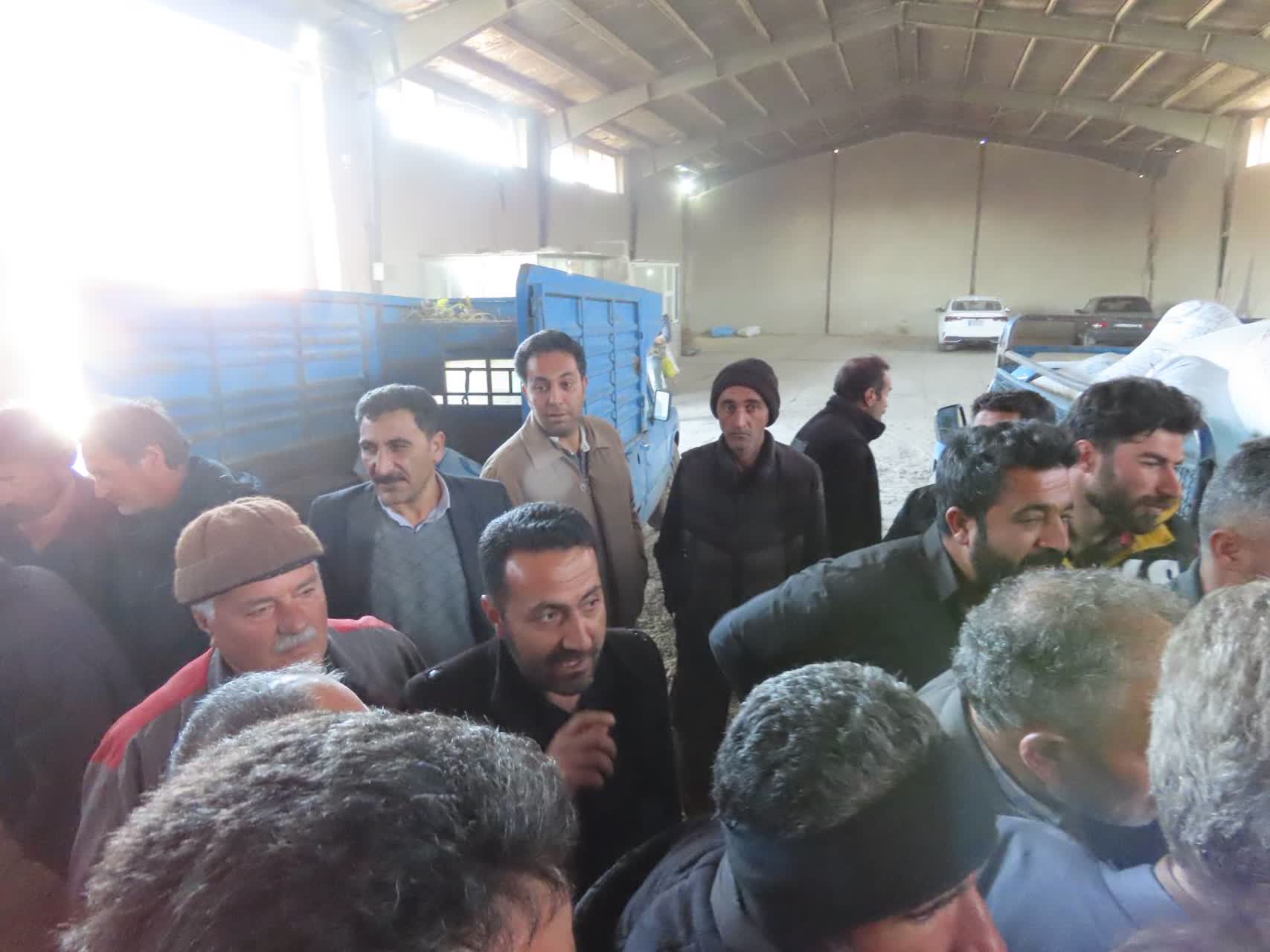 بازدید سرزده فرماندار چایپاره از روند توزیع نهاده‌های دامی